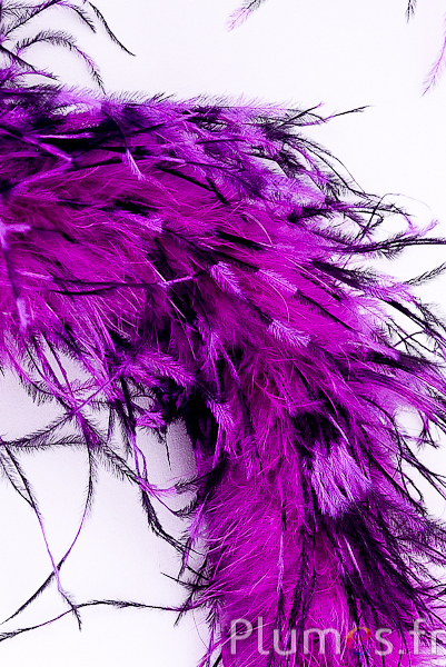 Autruche mèche  - 10 cm - fuchsia-noir